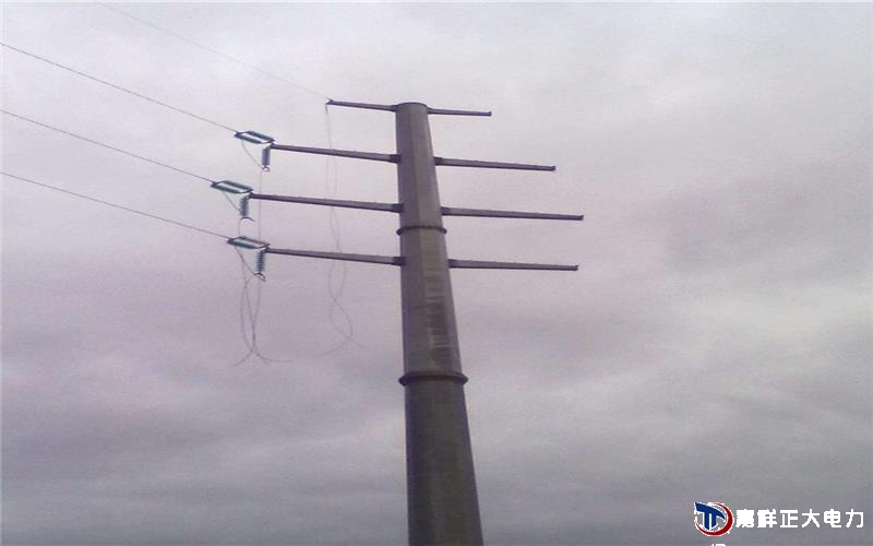 生产高压电线杆是在一定转速,产生足够的离心力,使水泥料形成中间空的电线杆的钢模中用蒸汽养护而成 生产高压电线杆是在一定转速,产生足够的离心力,使水泥料形成中间空的电线杆的钢模中用蒸汽养护而成